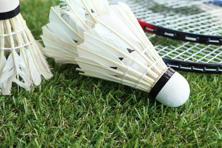 瓜迪奥拉执 瓜迪奥拉执